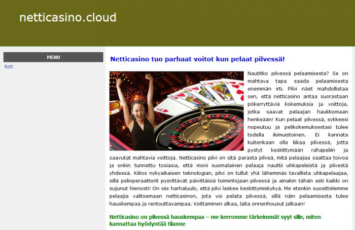 Netticasinon parhaat oppaat