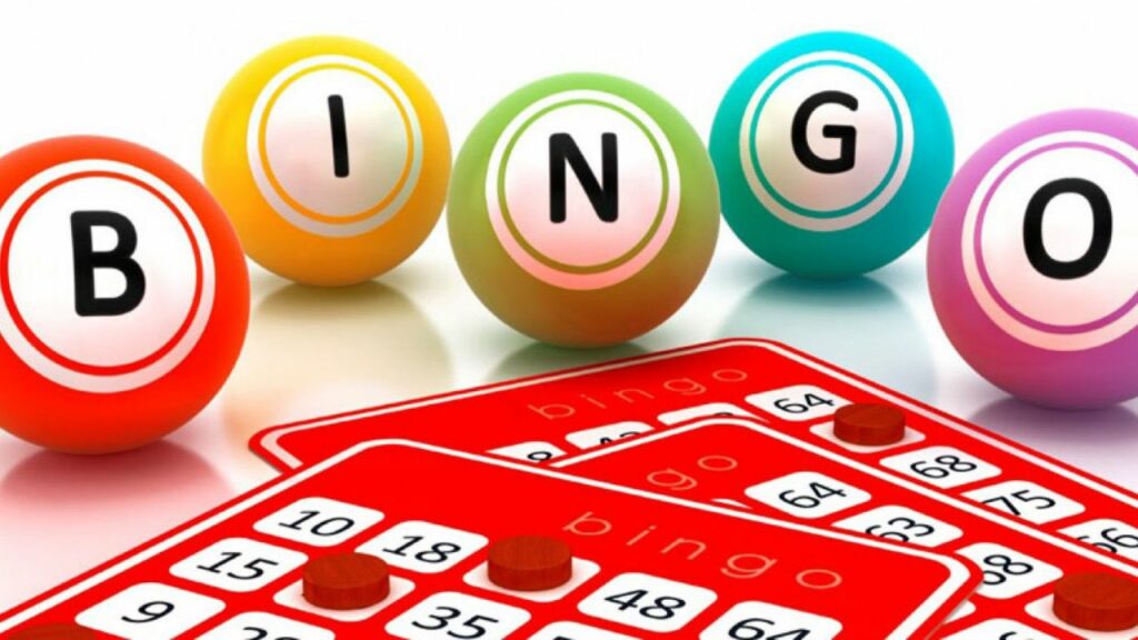 Bingopalloja